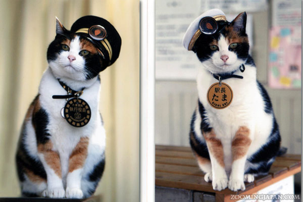 station-master-tama-the-cat_27