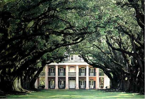 oak-alley-plantation