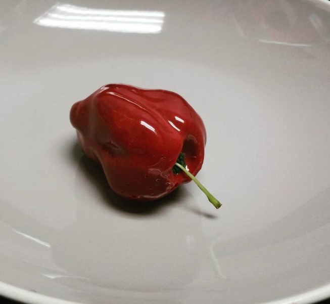 68_n-5b30513385217__700