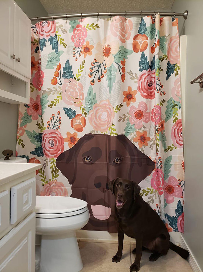 cool-bathroom-accessories-decor-14-5ddfc23246968__700