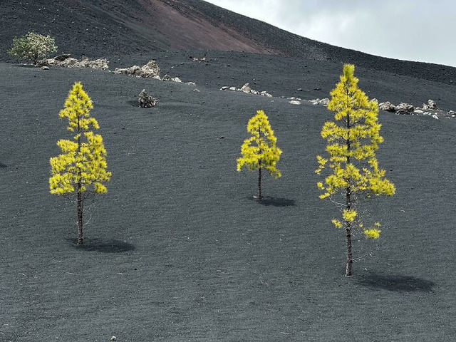 68dcfbae0b2a2_b5s1tlp94xze1-jpeg