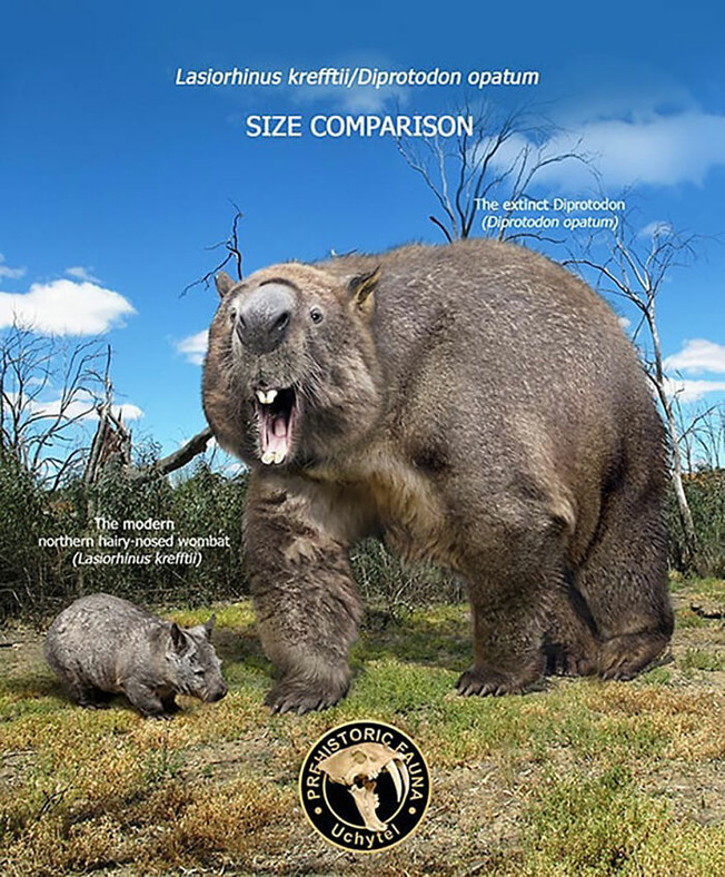 size-of-long-extinct-animals-with-their-modern-relatives
