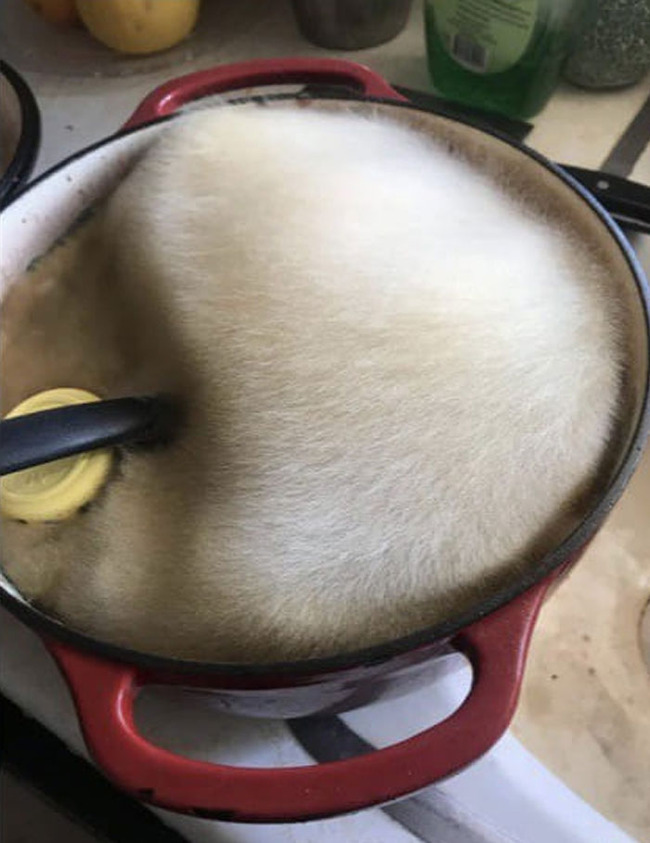 images-with-no-context-63e64b810958b__700