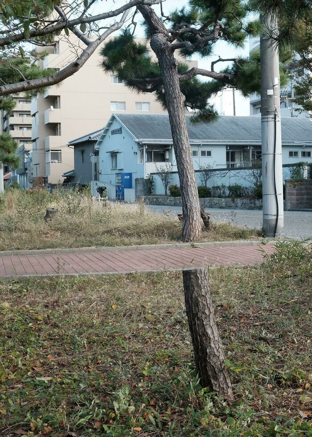 68dbd5a486724_90njxmpns0dc1-jpeg