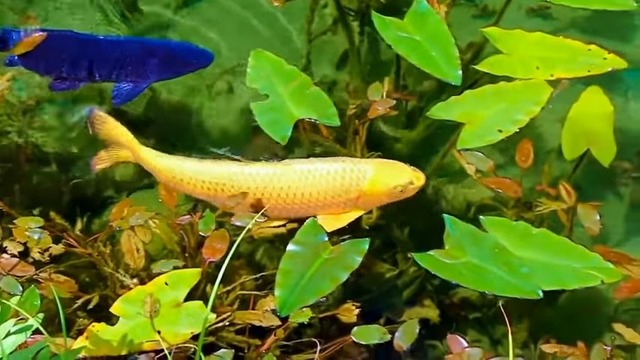 15fb99db-9f2d-4609-95d5-52af5e517106