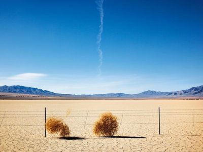 09_25_2014_tumbleweed