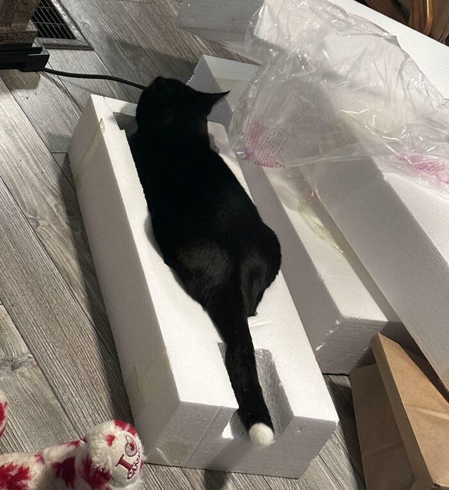 68fb2fc38dfa6_theres-no-way-this