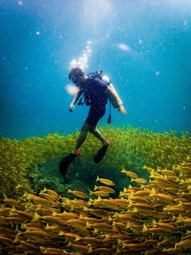 67e2ce18e8a8d_q26fds0kfp531__700