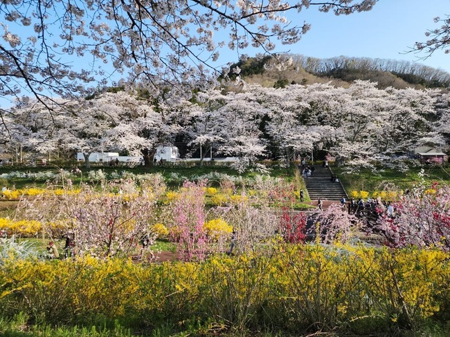 xar9u6p3isue1