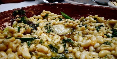 133212_escamolesedomex