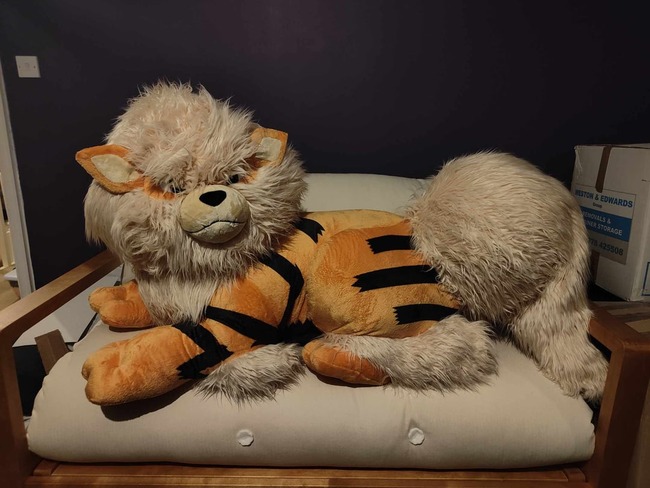 1739152592604938 (1)