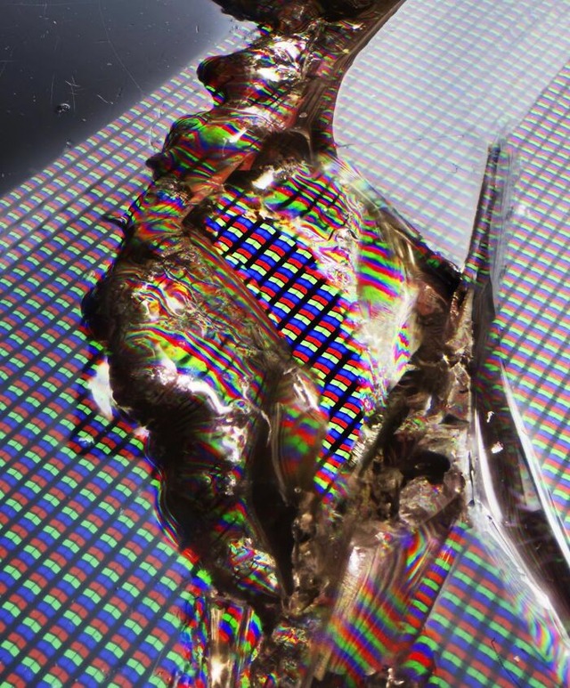 68482509f3a51_interesting-microscope-pictures