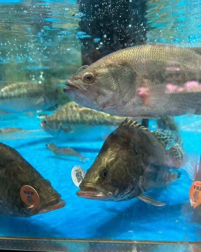 CkEUbKgLTv--png__700