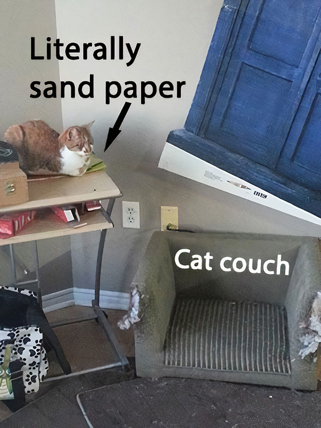 funny-cat-logic-beds-101-5f7715e89466c__700