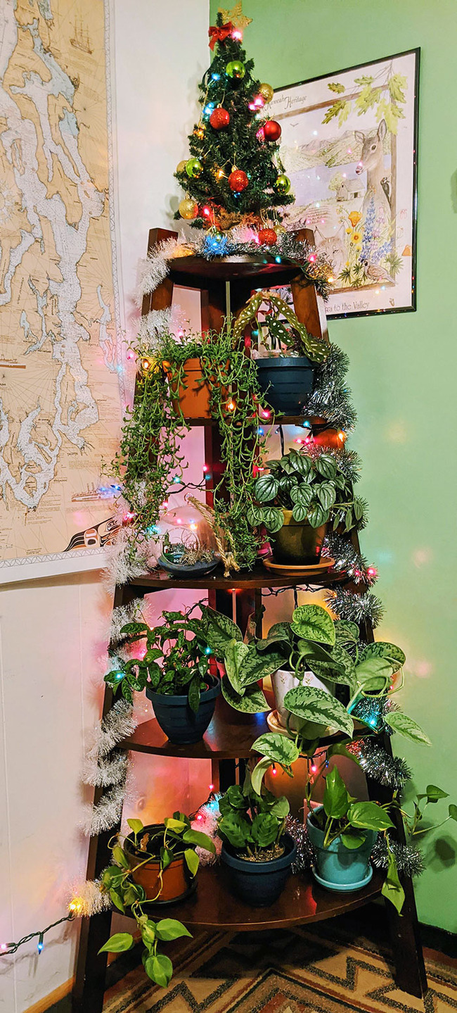 christmas-tree-ideas-19-65782c1118317__700