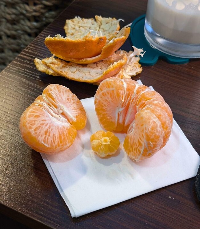 67498ed2c1fde_unusual-finds-in-food