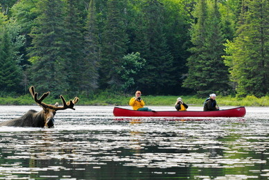 se112_01rr_voyageur_quest