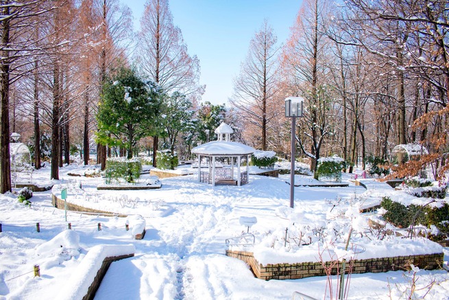 26952306_10157413139809466_5578361375399971790_o