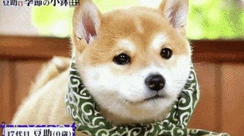 dogu