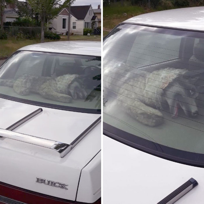 unintentionally-creepy-jump-scare-photos-27-64da0d1608a78__700