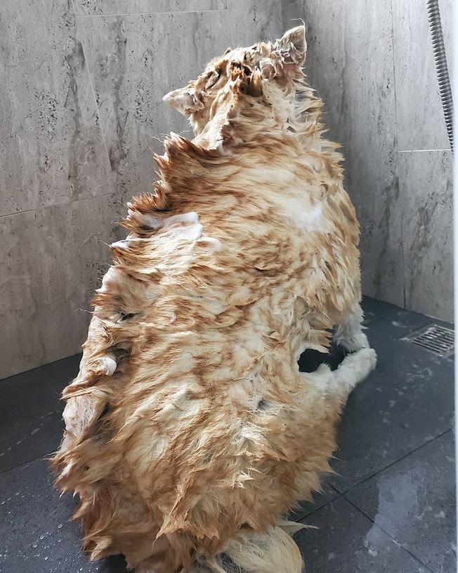 177828969_10161560557601840_2862753327821899111_n