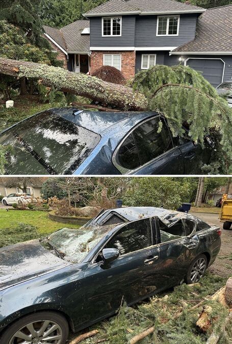 wild-unlucky-weather-pics-21-6892015c173a7__700