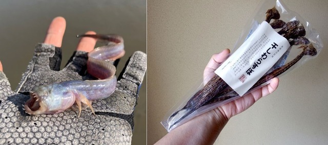 69ca21276e50d_s4q161nipcge1__880