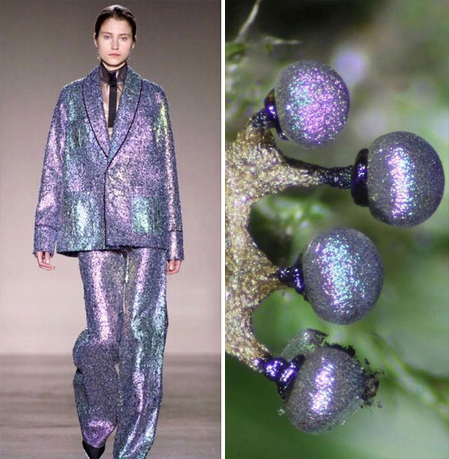 afaf-60508437bd08e__700