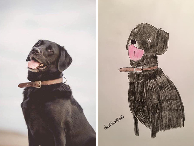 009-5f91574a50884__700