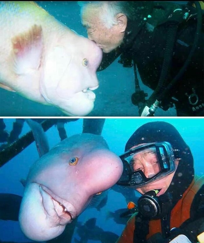 81LM6iAD-gL._AC_SL1500_