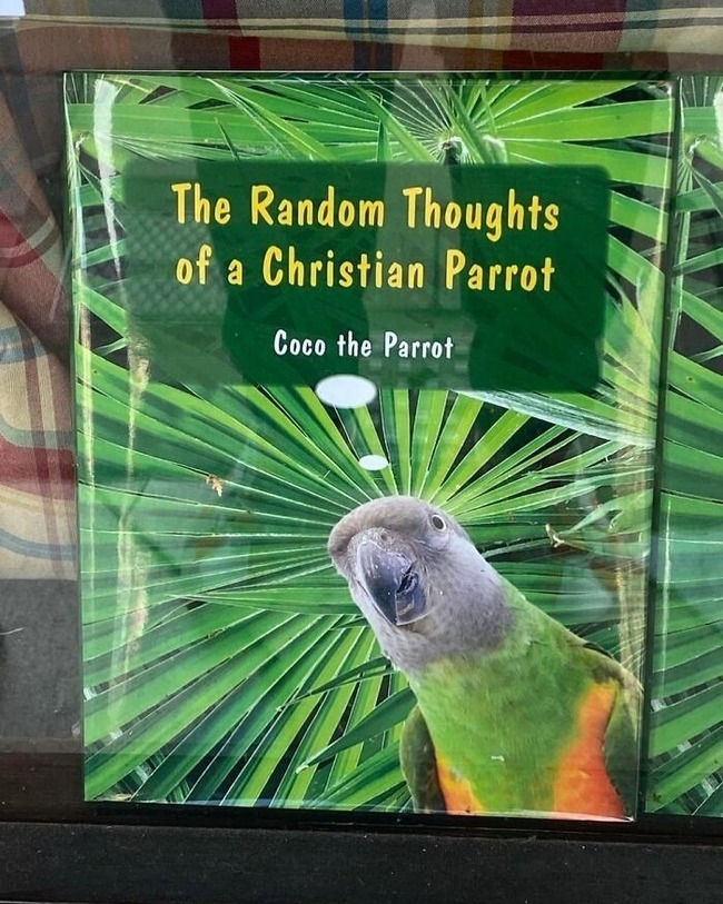 lucky-thrift-store-art-findings-64aea636a466e__700