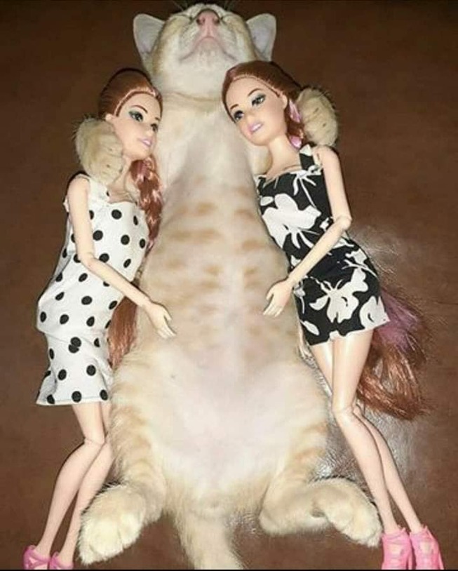 115907070_3040791206031919_2496507201891156579_n