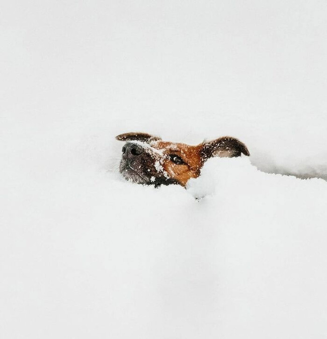 freezing-temperature-cold-winter-pics-6-63b7e0a32311a__700