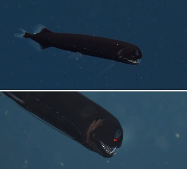 697b8e5fab26c_generated-image__7(1)