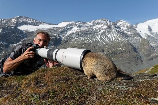 animals-disturbing-photographers-pics-17-68552bfcf1e53__700