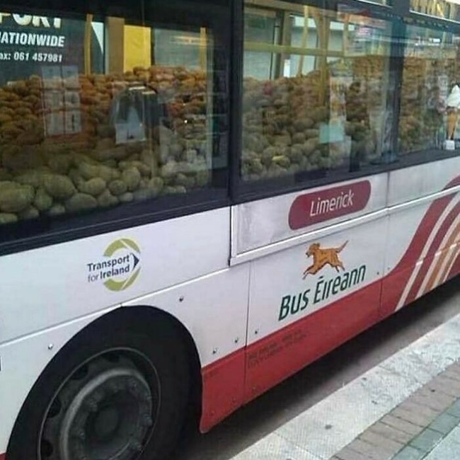 B-Pe6qiH60L-png__700