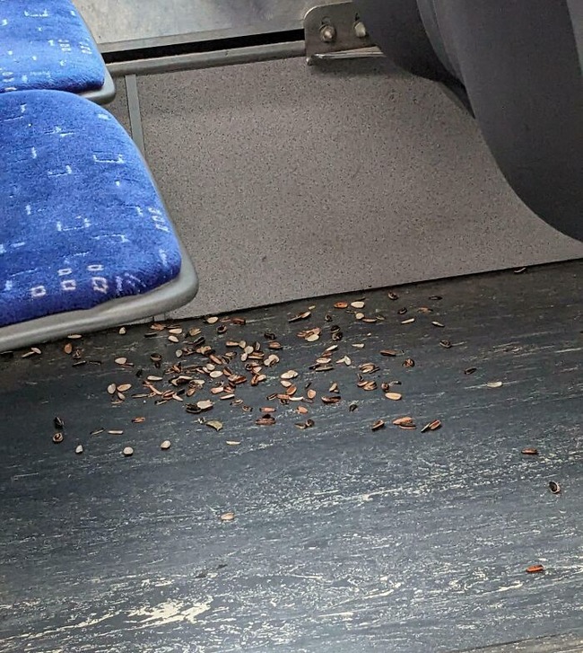 6745715b6f910_infuriating-public-transport-passengers