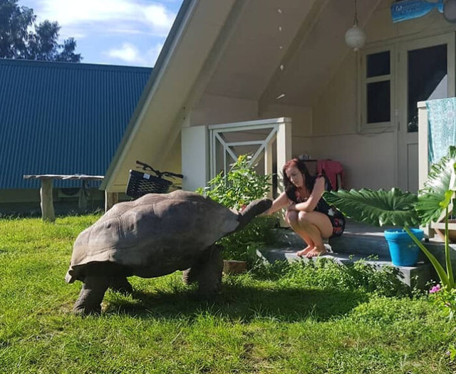 68bfda7f77786_unusually-large-animals__700
