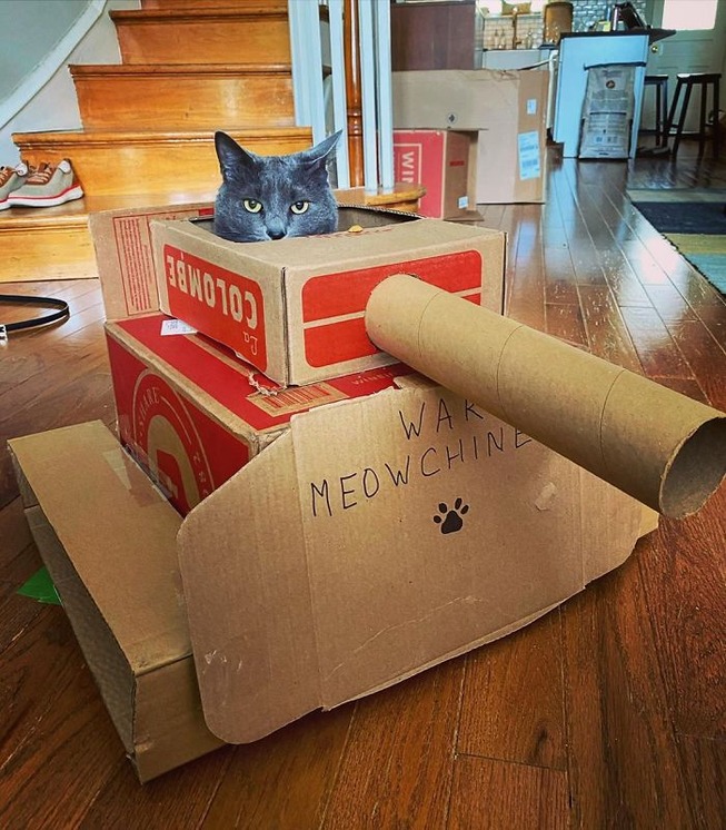 cat-tank-5eaa73a66d0b9__700
