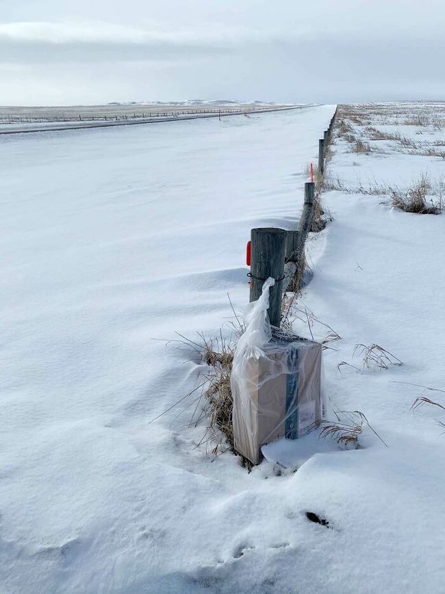 64f5845495e82_46e187qg8yna1__700