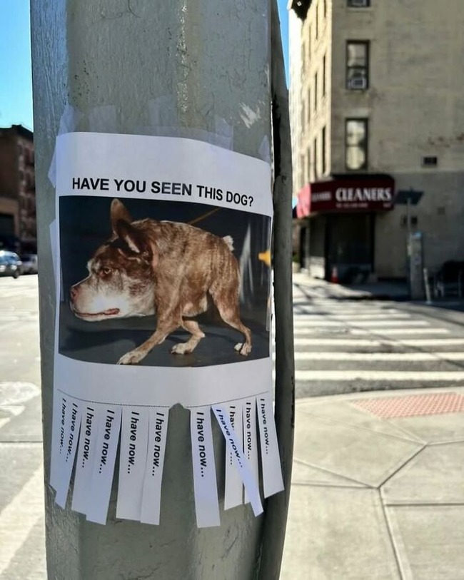 funny-pics-what-is-new-york-6752b83cb4a59__700