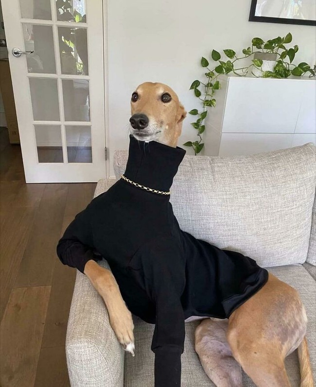 63725a0dbeb59_og2zc38l4p591__700