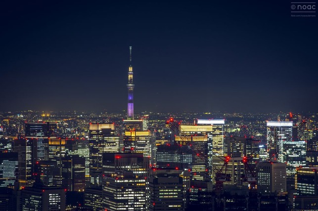 a-skytree-looms-in-the-distance_22290889086_o