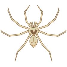 ダウンロード (9)