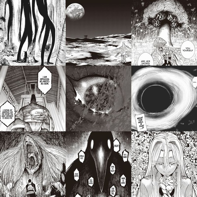 1683125605822819 (2)