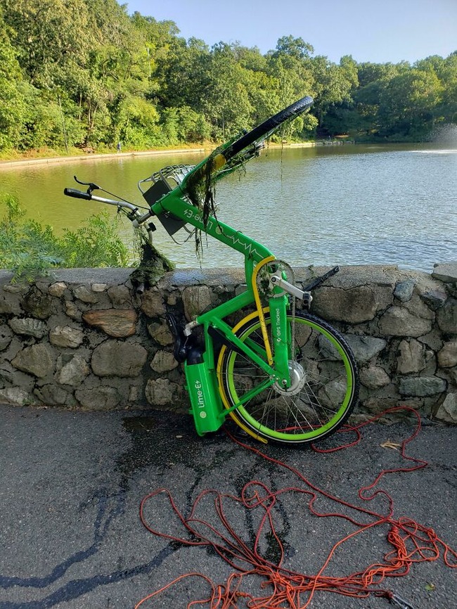 630c64f019409_i5xg1opeili31__700