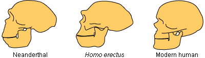 1401583083686