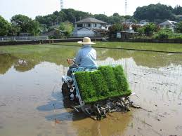ダウンロード (7)
