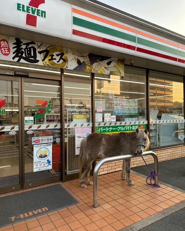 400781477_388250763536616_5891381584960462847_n