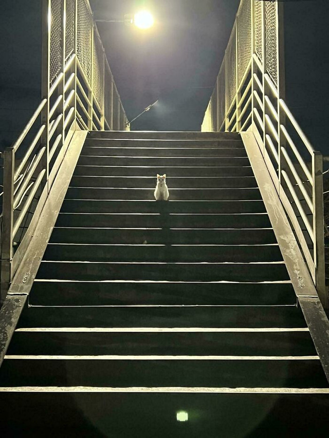 68d38dc1d4ab1_awgi1896siie1-jpeg